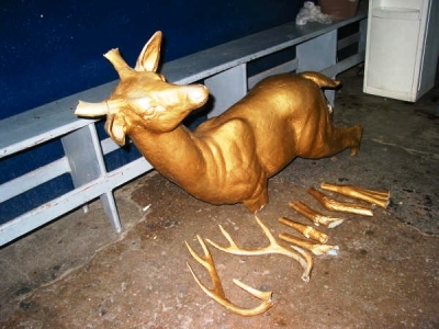 ex-vanadito-mazatlan-1