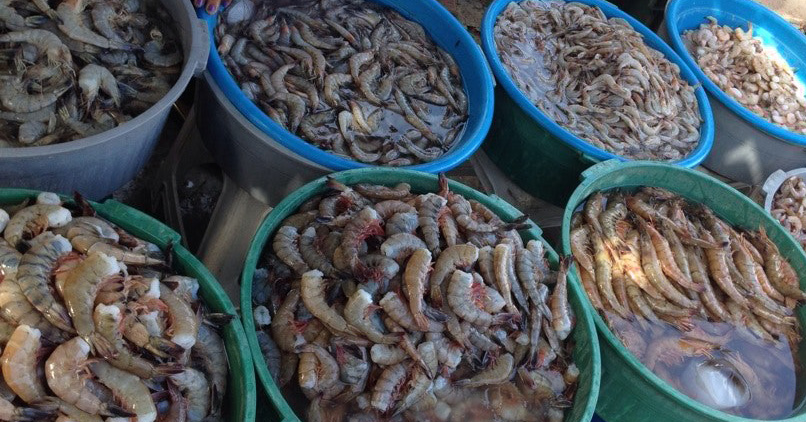 Las changueras en Mazatlán, el lugar para comprar camarón