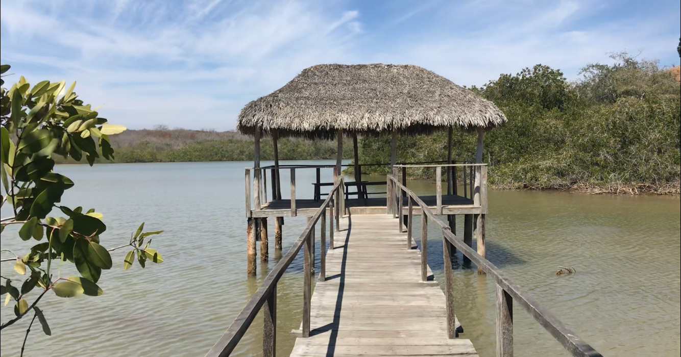 Estero del Yugo – Un área natural protegida en Mazatlán