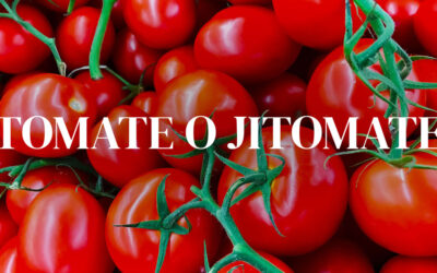 Palabras Mazatlecas vs palabras Tapatías