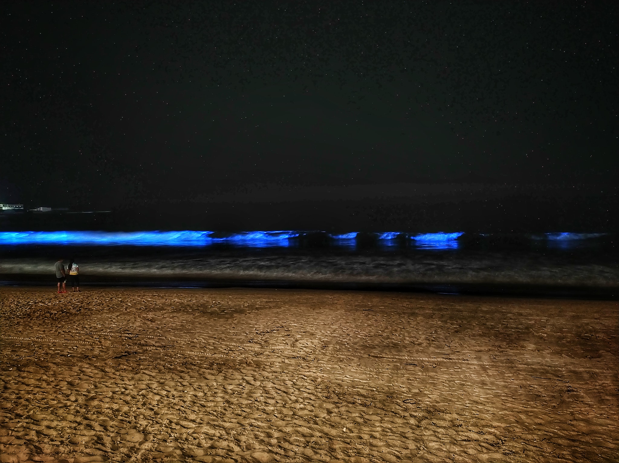Bioluminiscencia en las playas de Mazatlán