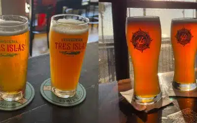 Tomar cerveza artesanal en Mazatlán